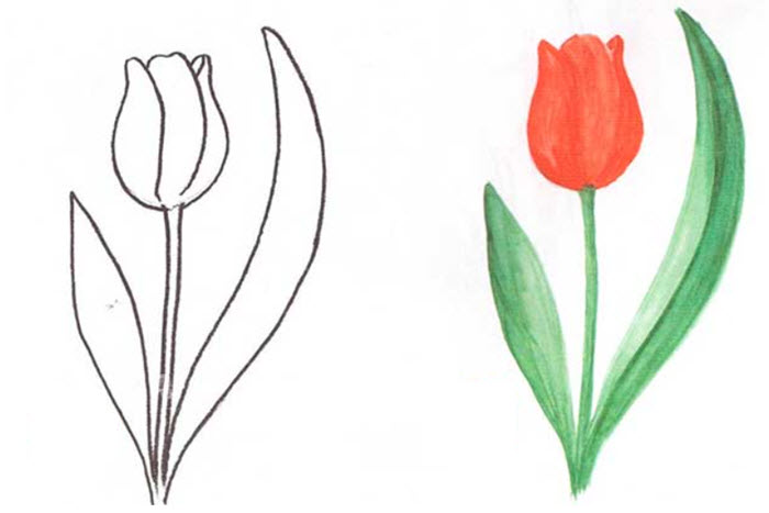 Легкие рисунки на 8 марта, варианты для срисовки карандашом и красками